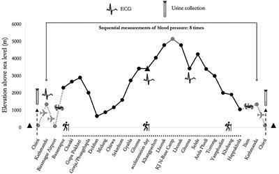 Ethnic Differences on Cardiac Rhythms and Autonomic Nervous System Responses During a High-Altitude Trek: A Pilot Study Comparing Italian Trekkers to Nepalese Porters